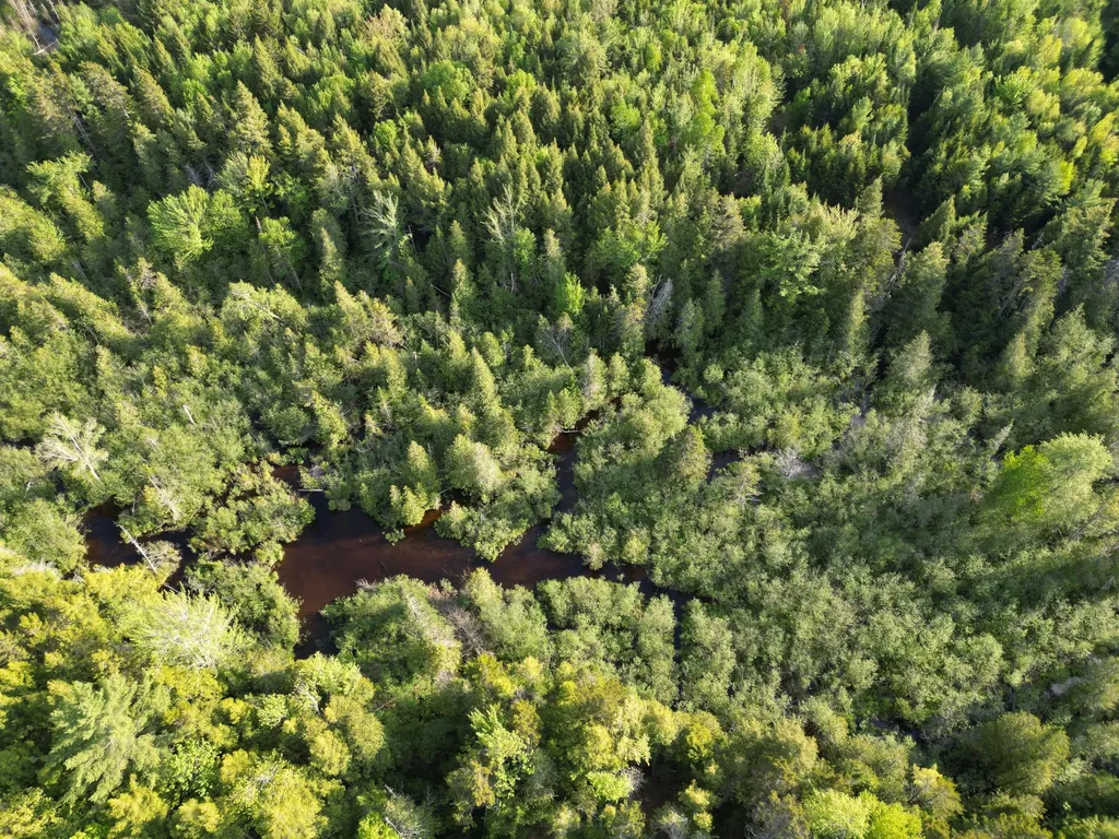 Lot 41-1 Bottle Lake Road Lakeville ME 04487