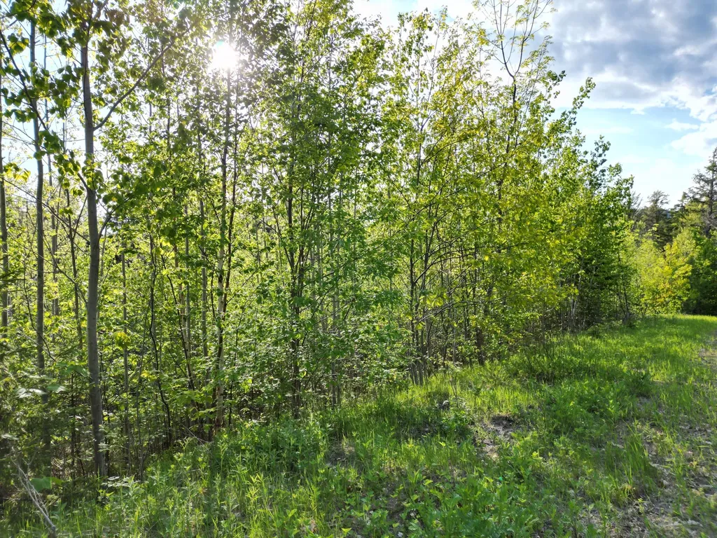 Lot 41-1 Bottle Lake Road Lakeville ME 04487
