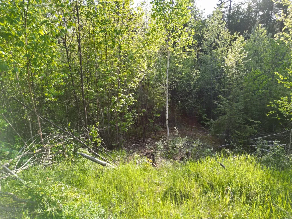 Lot 41-1 Bottle Lake Road Lakeville ME 04487
