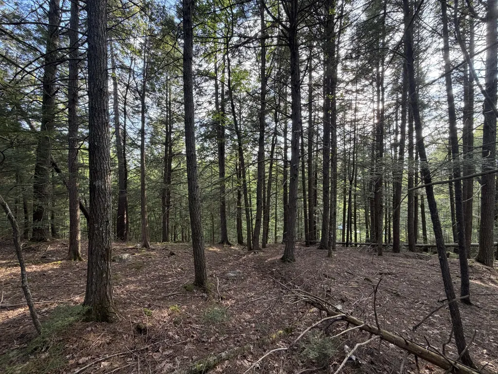 Lot 41-1 Bottle Lake Road Lakeville ME 04487