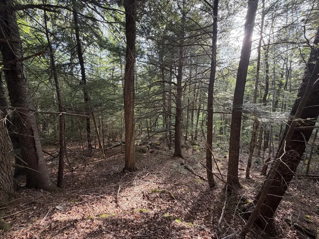Lot 41-1 Bottle Lake Road Lakeville ME 04487