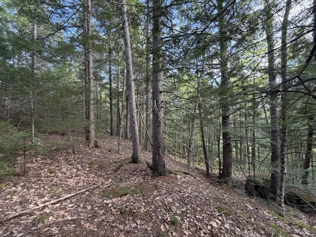 Lot 41-1 Bottle Lake Road Lakeville ME 04487
