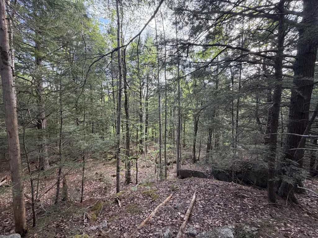 Lot 41-1 Bottle Lake Road Lakeville ME 04487