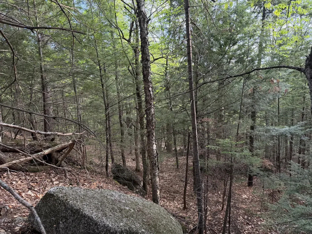 Lot 41-1 Bottle Lake Road Lakeville ME 04487