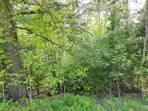 Lot 41-1 Bottle Lake Road Lakeville ME 04487