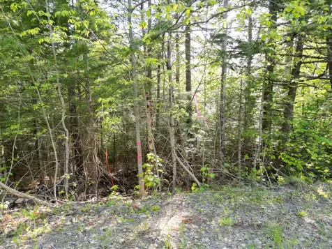 Lot 41-1 Bottle Lake Road Lakeville ME 04487