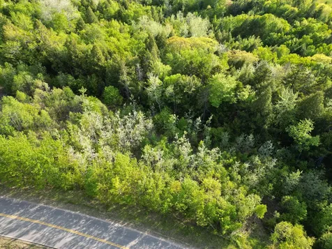 Lot 41-1 Bottle Lake Road Lakeville ME 04487
