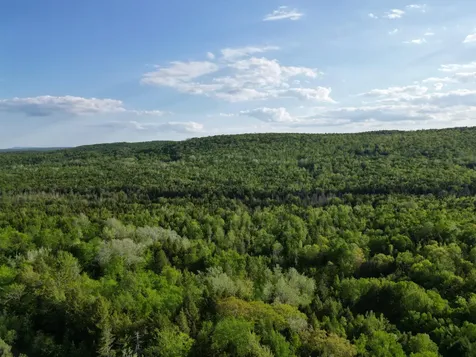 Lot 41-1 Bottle Lake Road Lakeville ME 04487