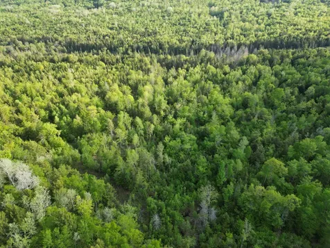 Lot 41-1 Bottle Lake Road Lakeville ME 04487