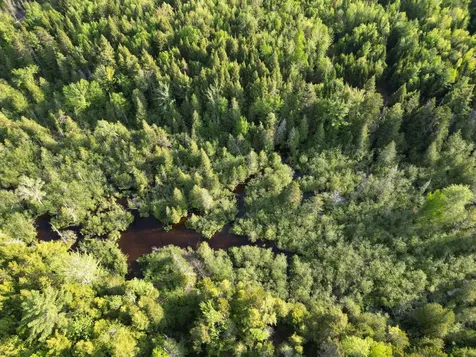 Lot 41-1 Bottle Lake Road Lakeville ME 04487