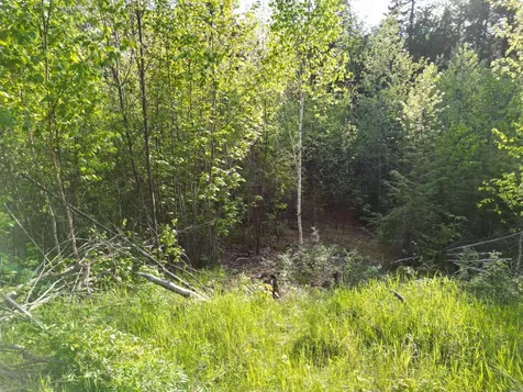 Lot 41-1 Bottle Lake Road Lakeville ME 04487