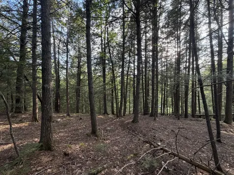 Lot 41-1 Bottle Lake Road Lakeville ME 04487