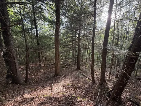 Lot 41-1 Bottle Lake Road Lakeville ME 04487