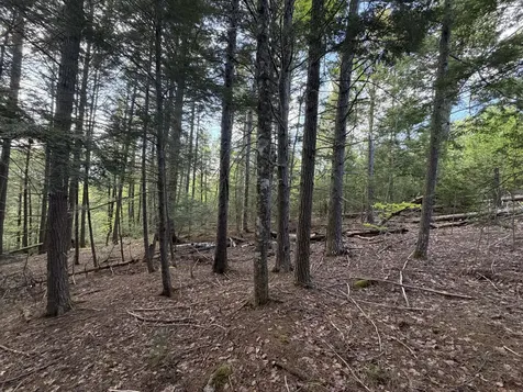 Lot 41-1 Bottle Lake Road Lakeville ME 04487