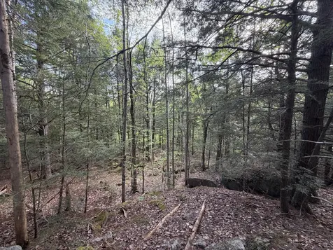 Lot 41-1 Bottle Lake Road Lakeville ME 04487