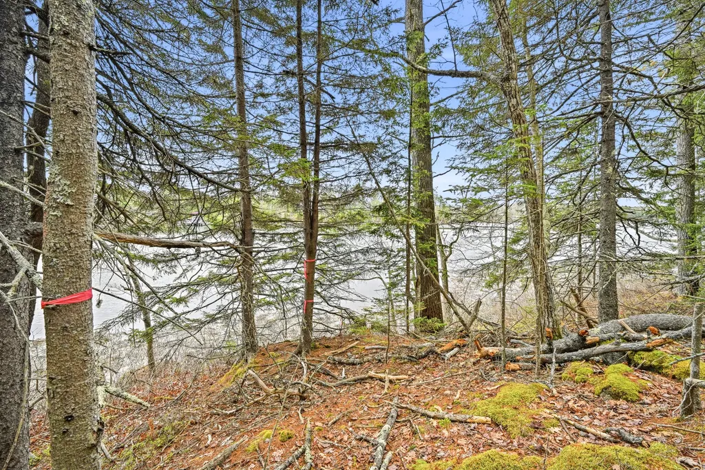 16 Otter Lane Westport Island ME 04578