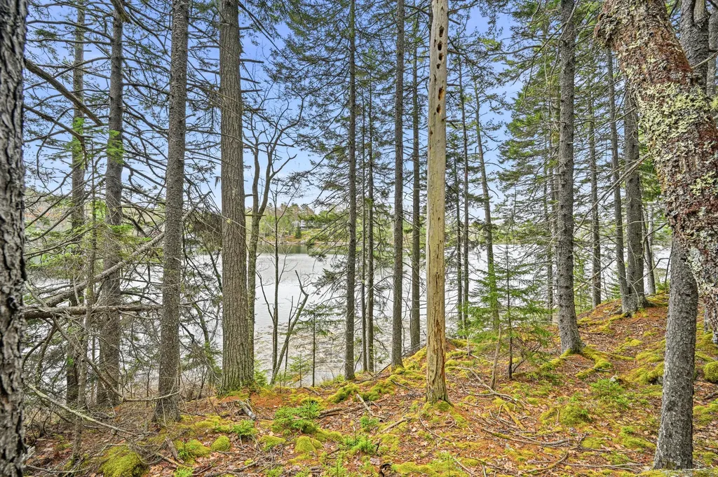 16 Otter Lane Westport Island ME 04578