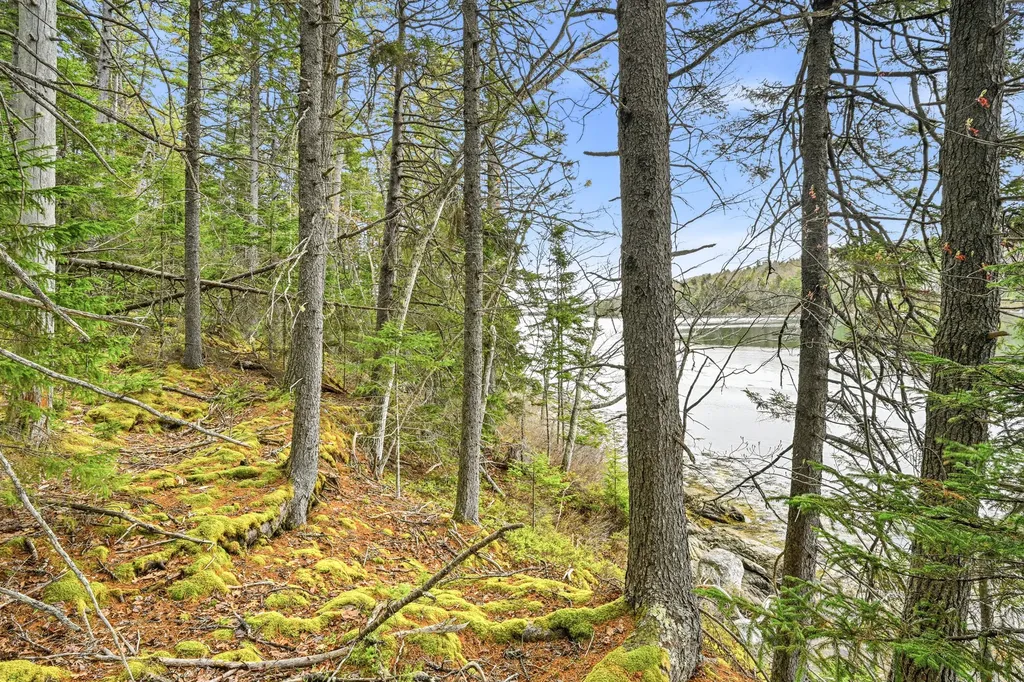 16 Otter Lane Westport Island ME 04578