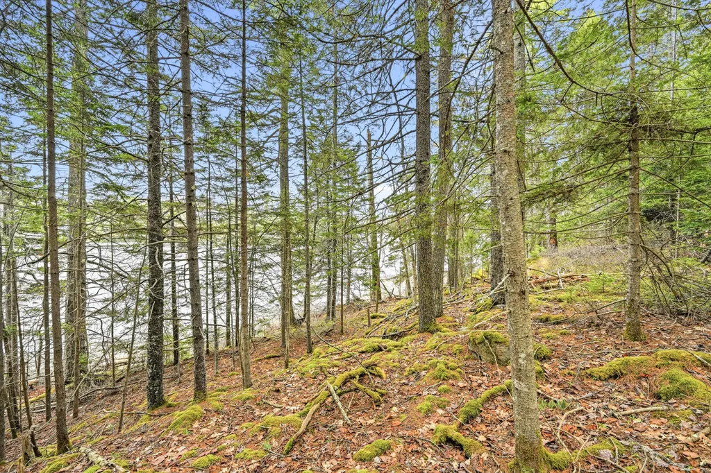 16 Otter Lane Westport Island ME 04578