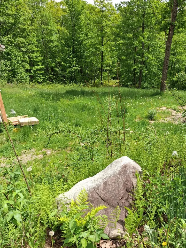 209 Adams Road Chesterville ME 04938