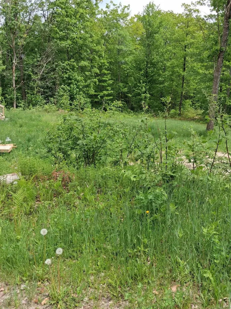 209 Adams Road Chesterville ME 04938