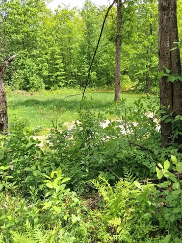 209 Adams Road Chesterville ME 04938