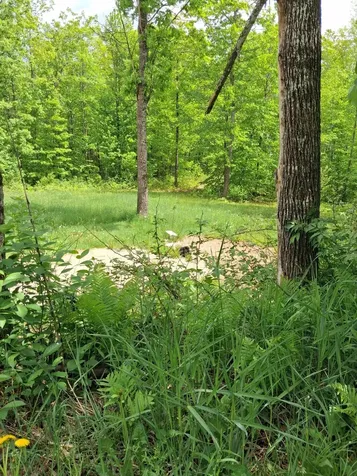 209 Adams Road Chesterville ME 04938