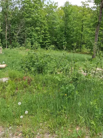 209 Adams Road Chesterville ME 04938