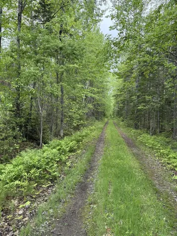 Tbd Fitz Road Kenduskeag ME 04450