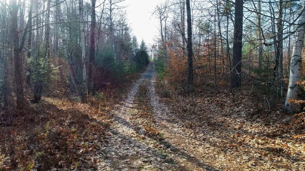 1 Cummings Road Bethel ME 04217