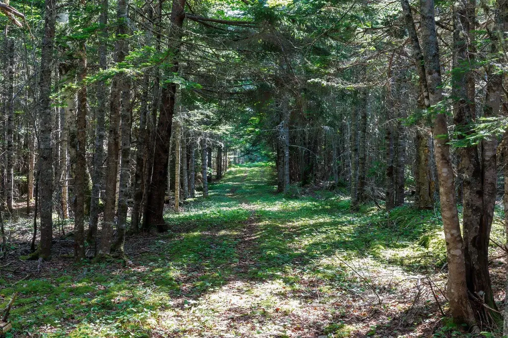 159 Devereaux Road Perry ME 04667