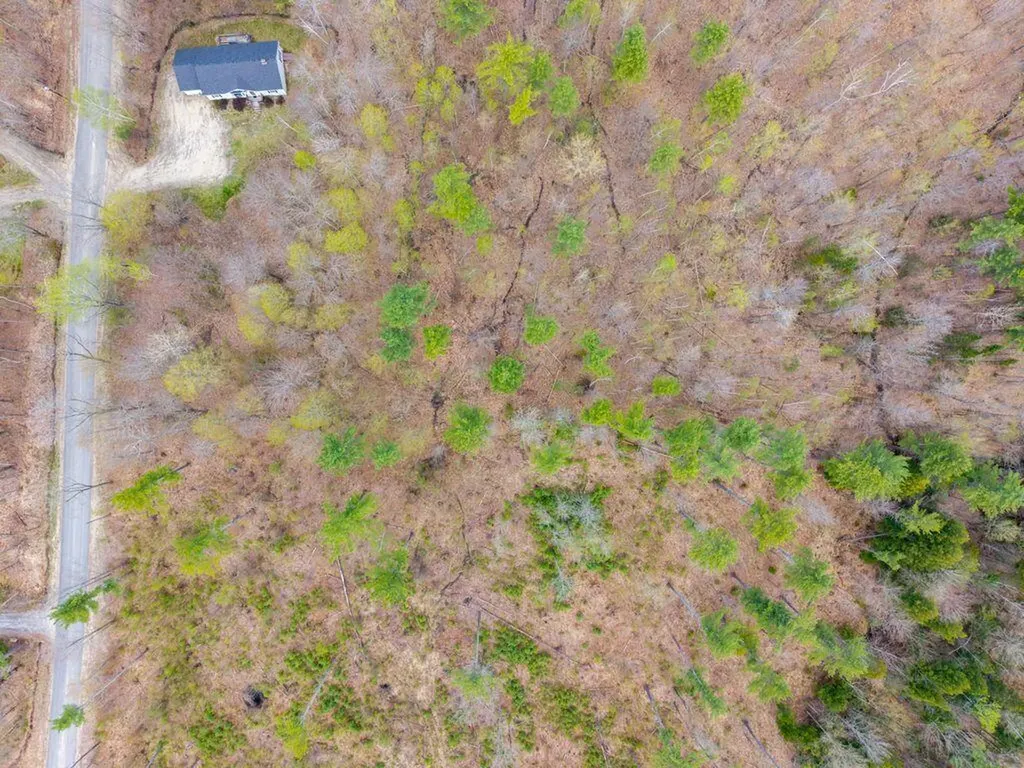 Lot 10-5 Chapman Hill Road Bethel ME 04217