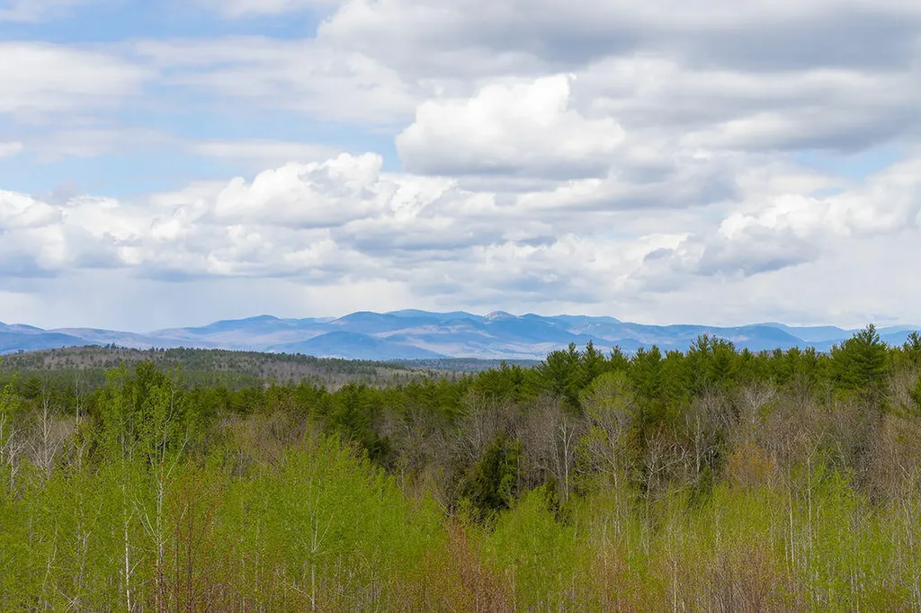 81 Hillside Lane Sweden ME 04040