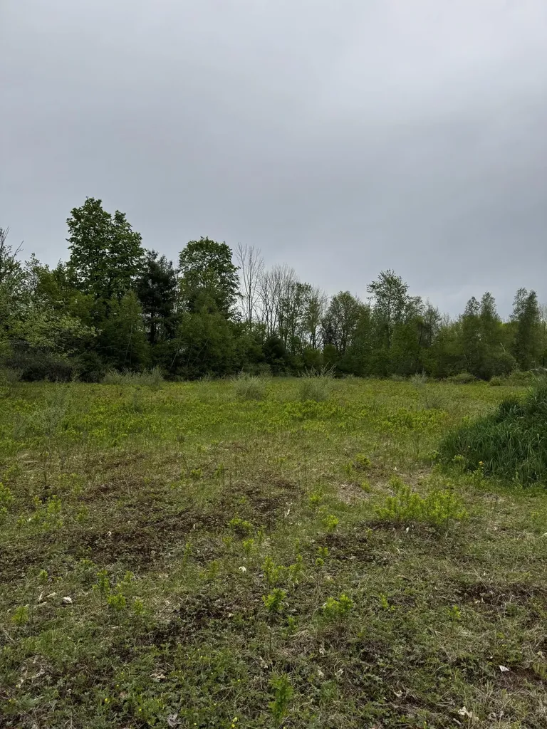 00 Leavitt Lane Palmyra ME 04965