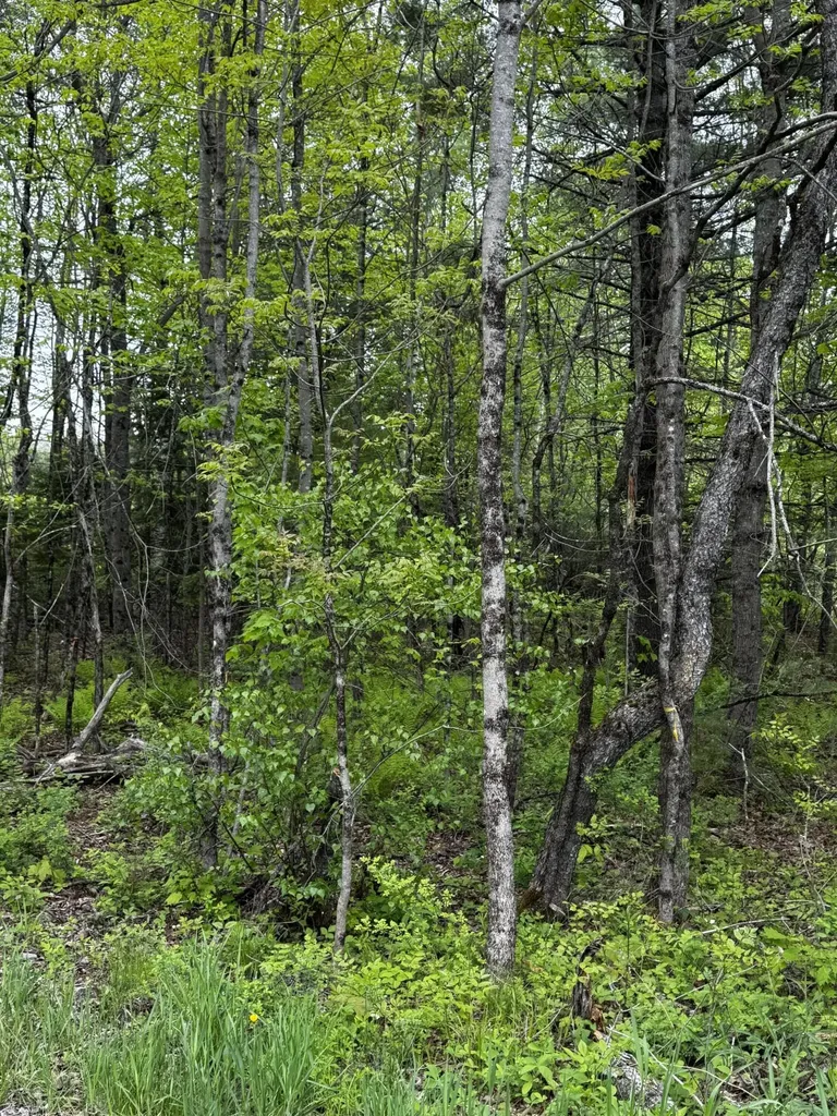 00 Leavitt Lane Palmyra ME 04965