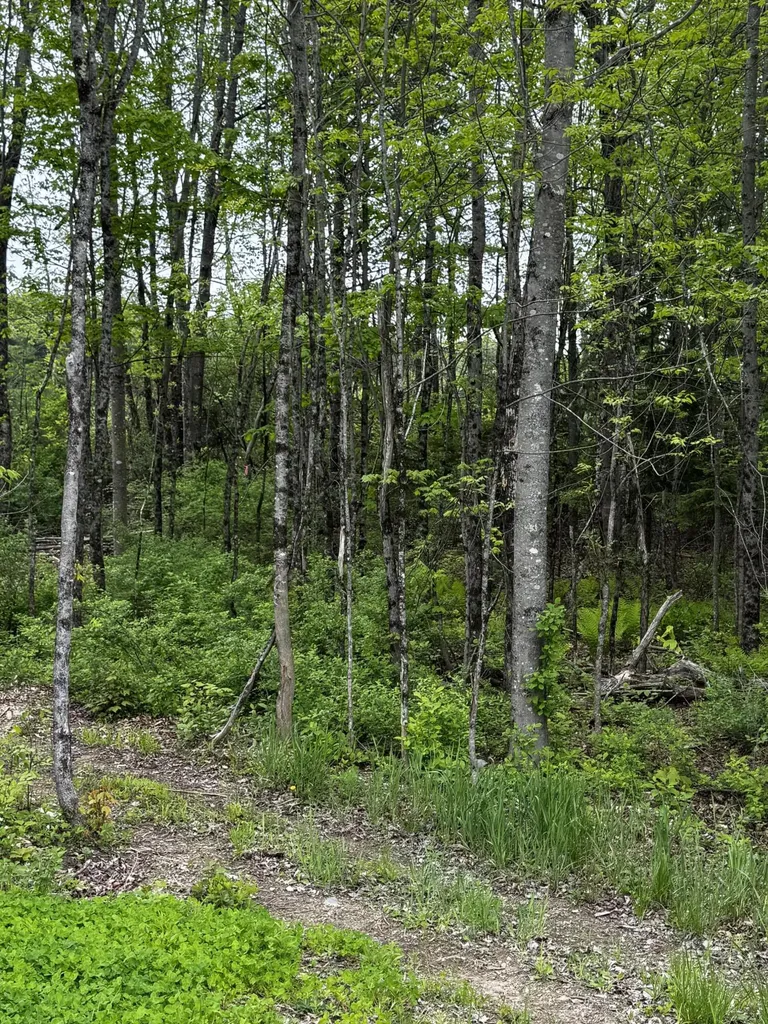 00 Leavitt Lane Palmyra ME 04965