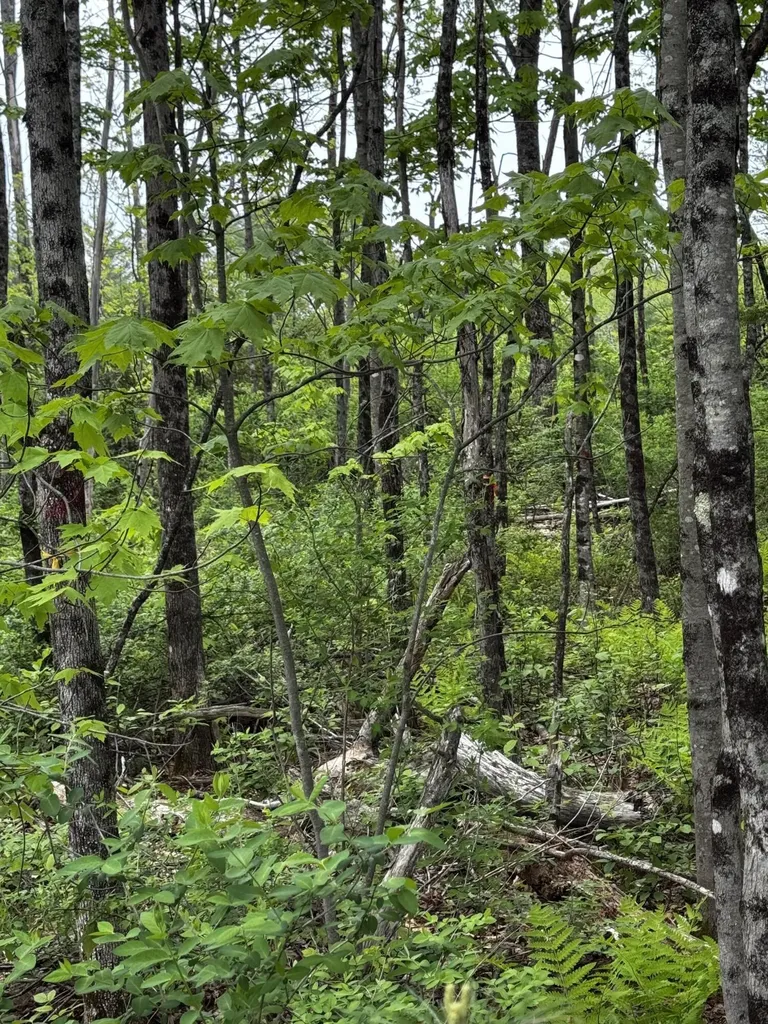 00 Leavitt Lane Palmyra ME 04965
