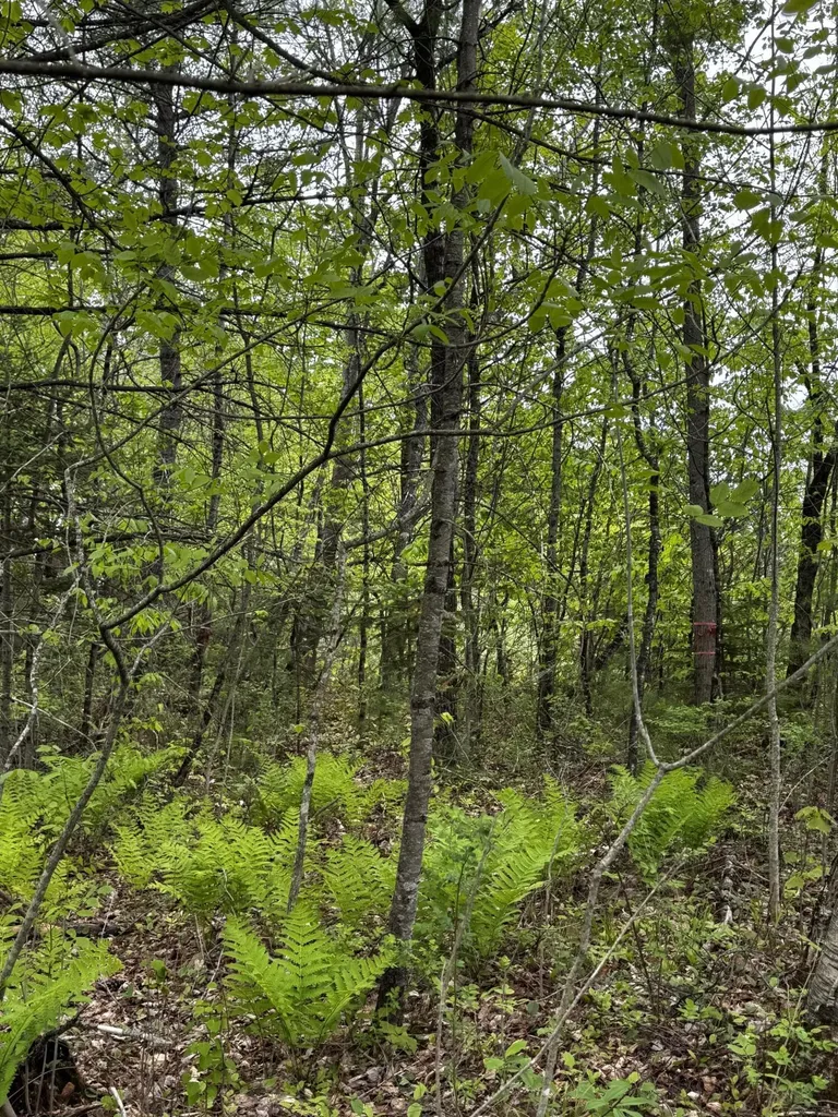 00 Leavitt Lane Palmyra ME 04965