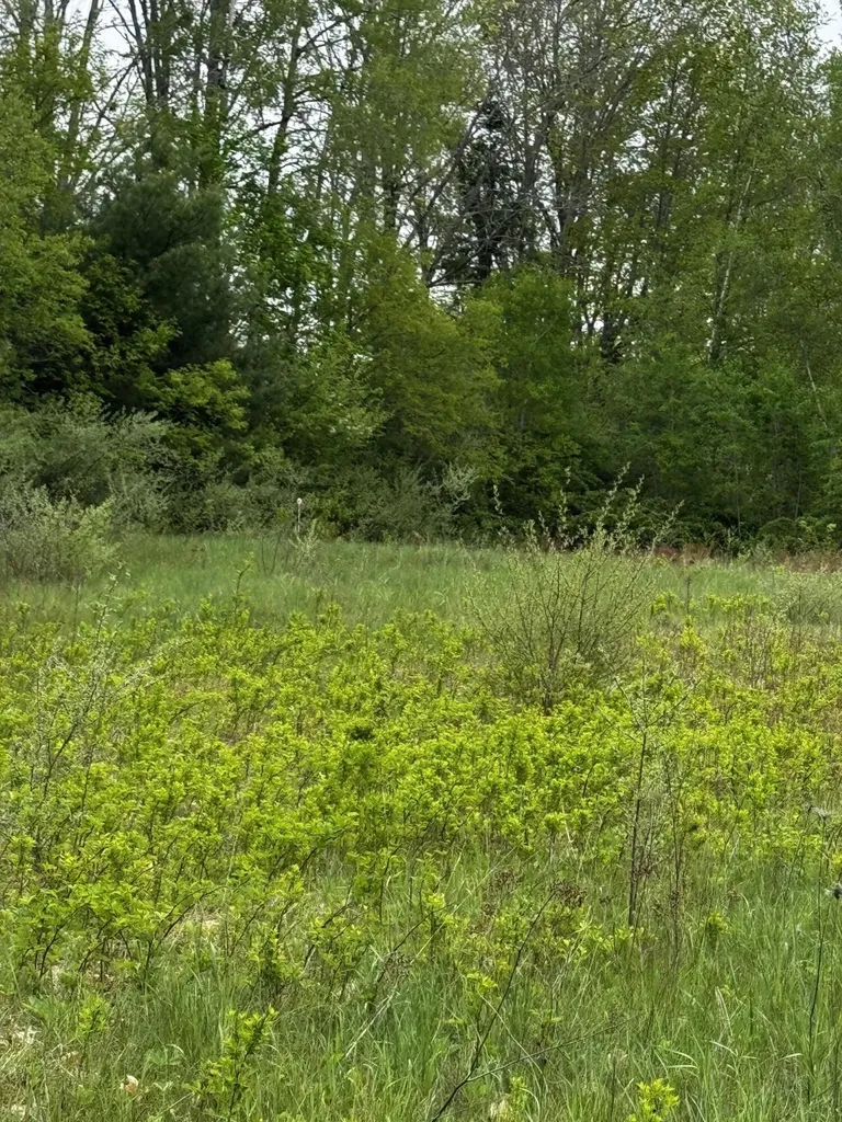 M5 00 Leavitt Lane Palmyra ME 04965