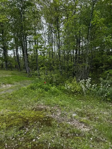 00 Leavitt Lane Palmyra ME 04965