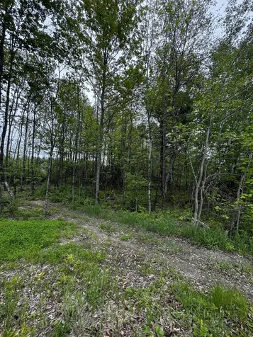 M5 00 Leavitt Lane Palmyra ME 04965