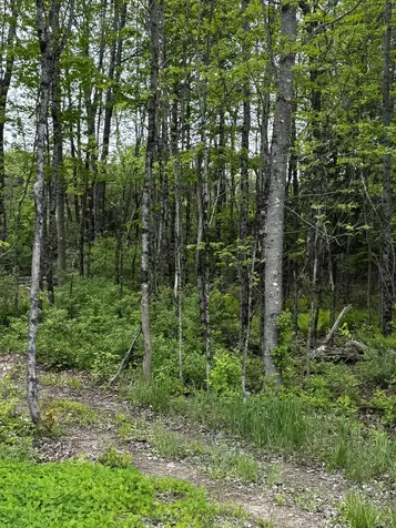 00 Leavitt Lane Palmyra ME 04965
