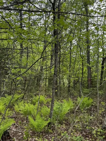 00 Leavitt Lane Palmyra ME 04965