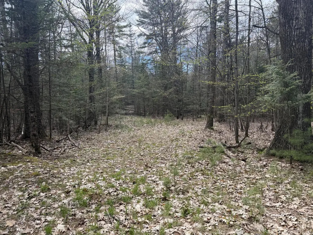0 Hodsdon Road Pownal ME 04222