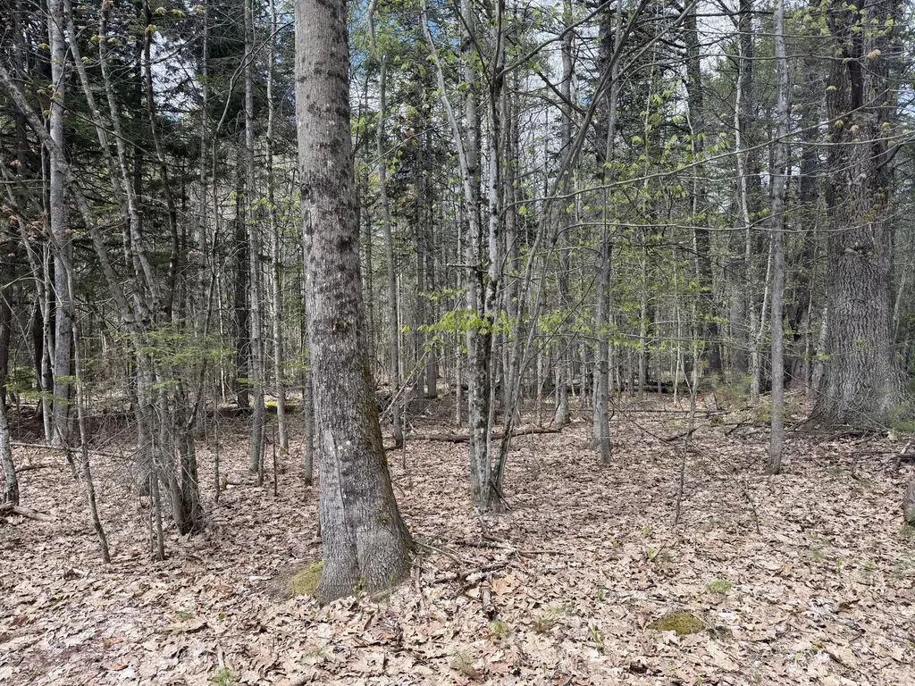 0 Hodsdon Road Pownal ME 04069