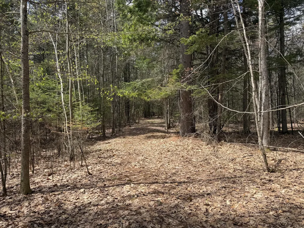 0 Hodsdon Road Pownal ME 04222