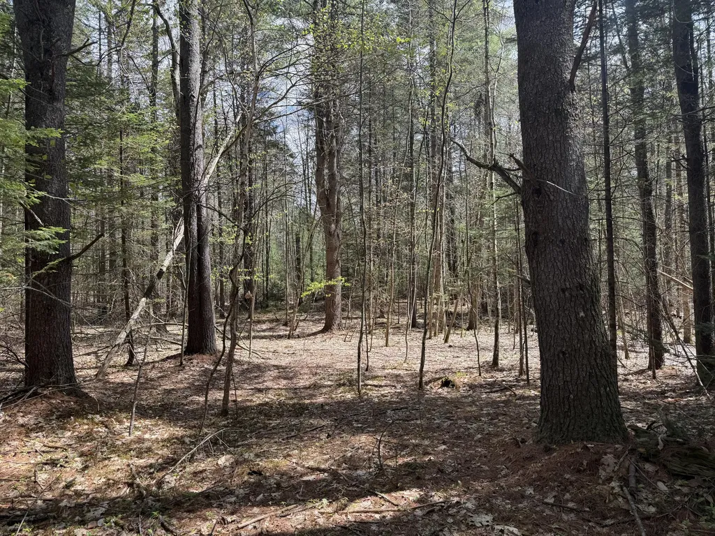 0 Hodsdon Road Pownal ME 04222