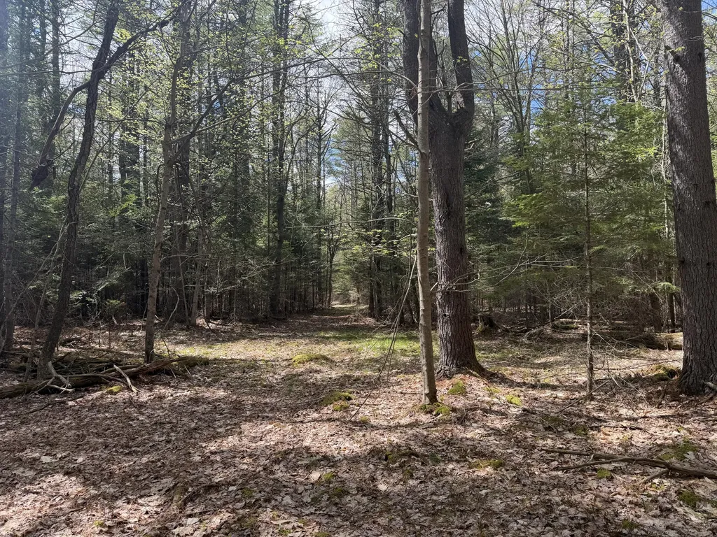 0 Hodsdon Road Pownal ME 04222