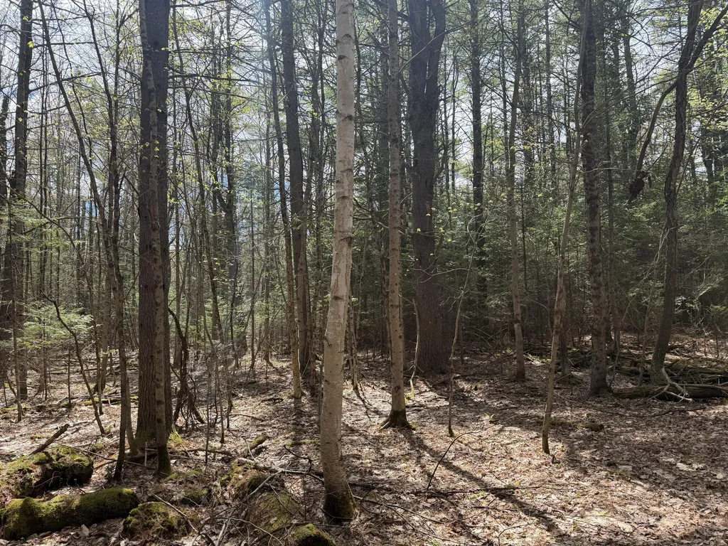 0 Hodsdon Road Pownal ME 04069