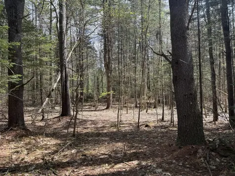 0 Hodsdon Road Pownal ME 04222